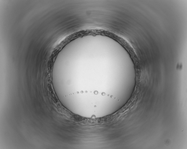 X0000091210871200708091113