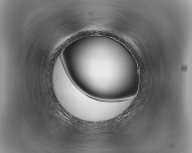 X0000091210872200708091113