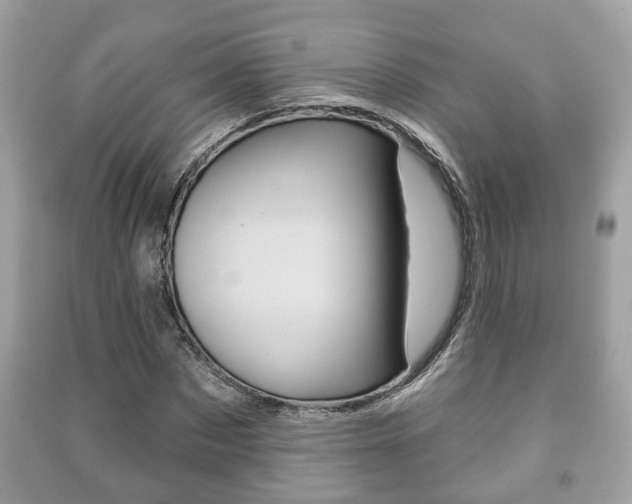 X0000091210873200708091113