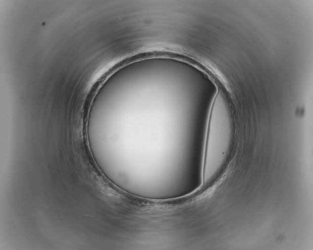 X0000091210877200708091113