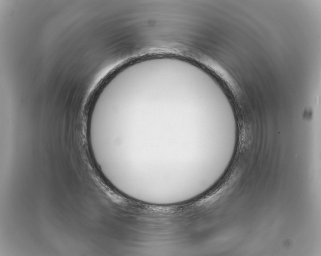 X0000091210878200708091113