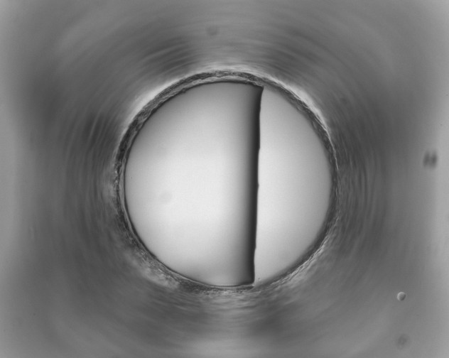 X0000091210879200708091113