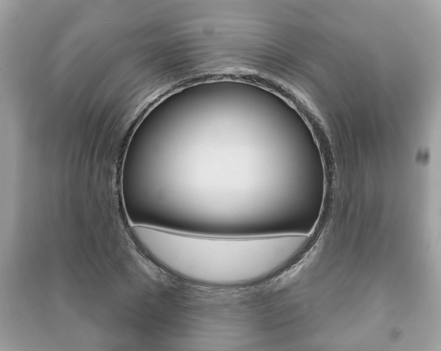 X0000091210881200708091113