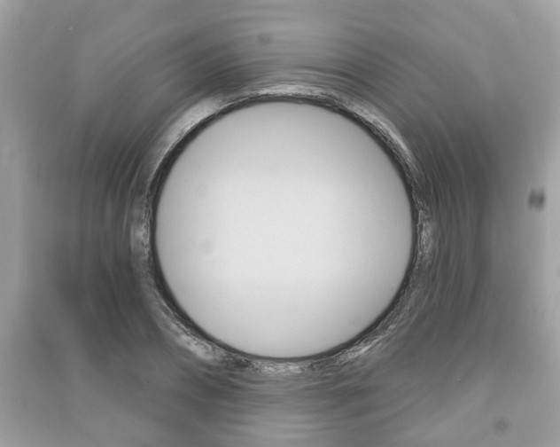 X0000091210882200708091113