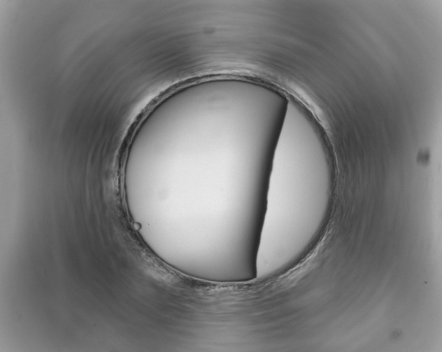 X0000091210883200708091113