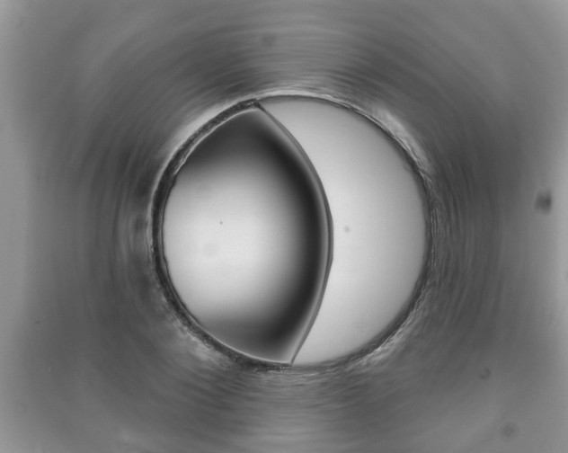 X0000091210884200708091113