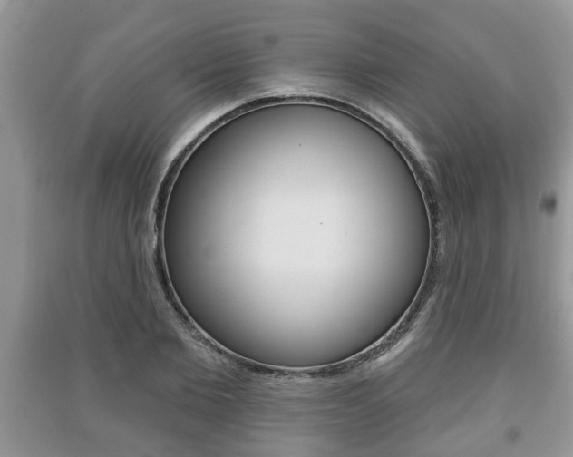 X0000091210885200708091113