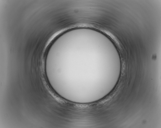 X0000091210886200708091113