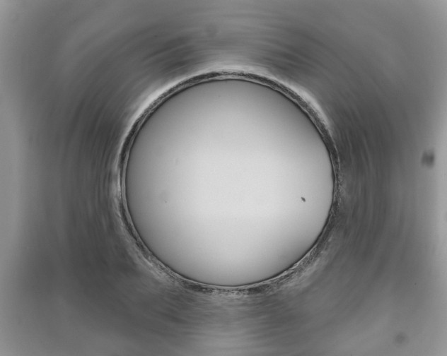 X0000091210887200708091113