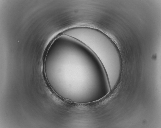 X0000091210888200708091113