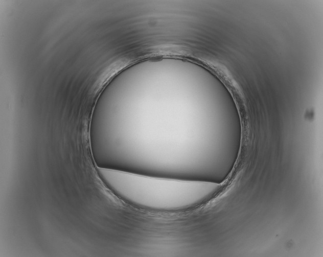 X0000091210889200708091113