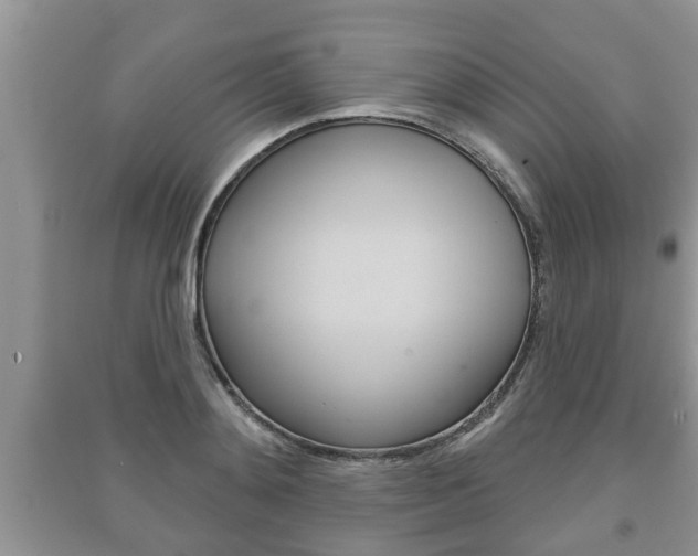 X0000091210892200708091113