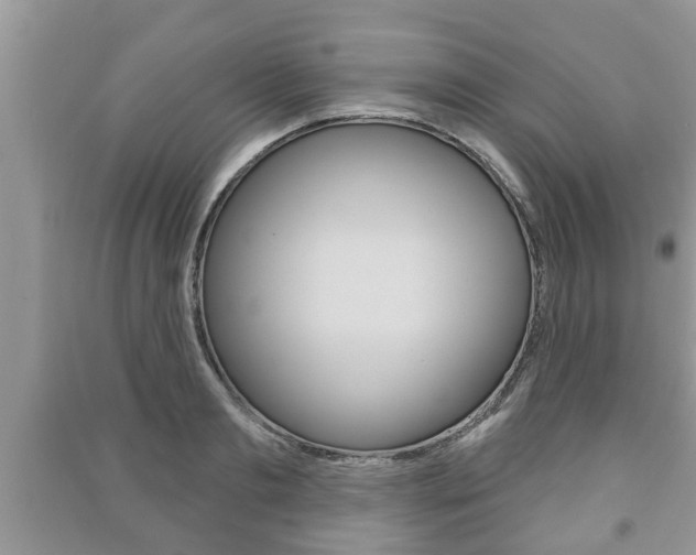 X0000091210893200708091113