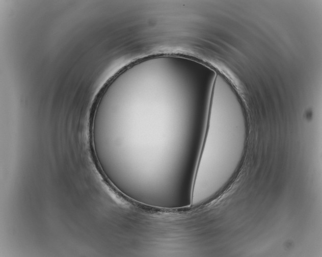 X0000091210894200708091113