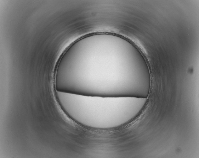 X0000091210895200708091113