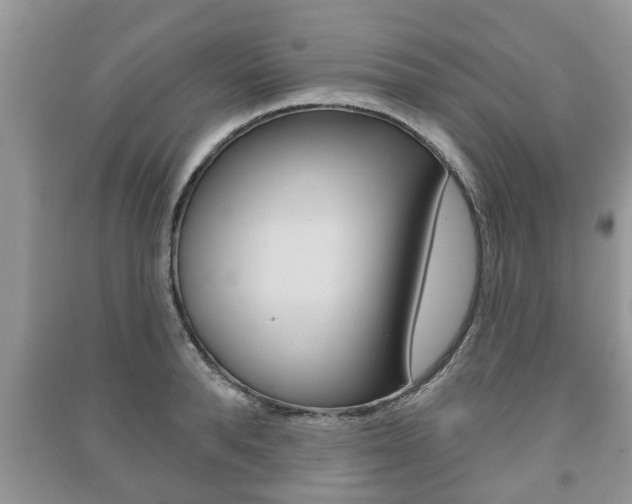 X0000091210896200708091113