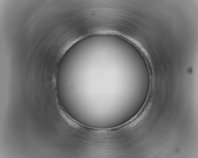 X0000091210897200708091113