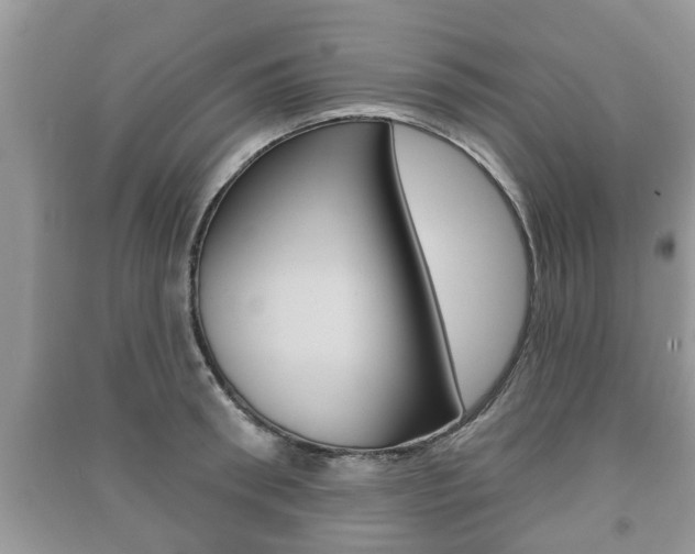 X0000091210898200708091113