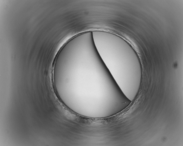 X0000091210899200708091113