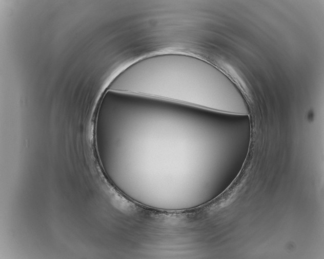 X0000091210900200708091113