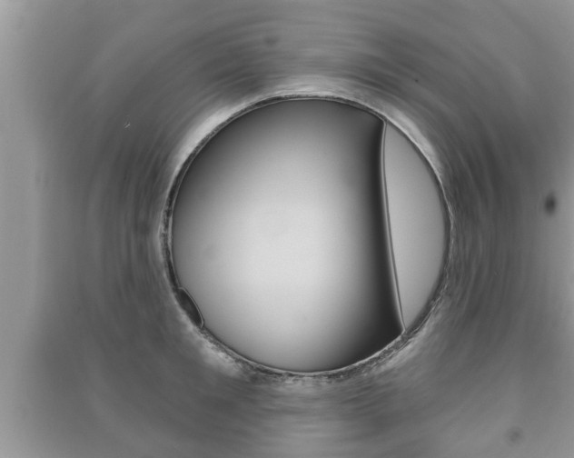 X0000091210901200708091113