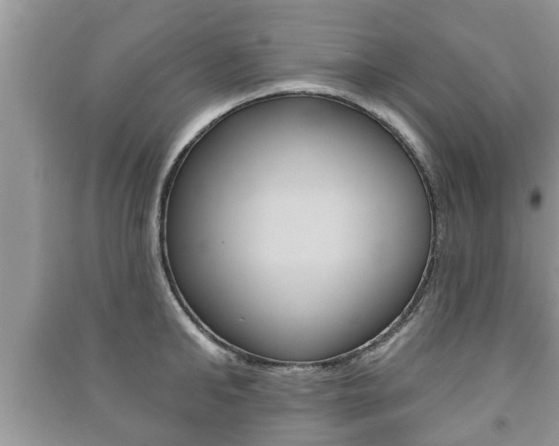 X0000091210902200708091113