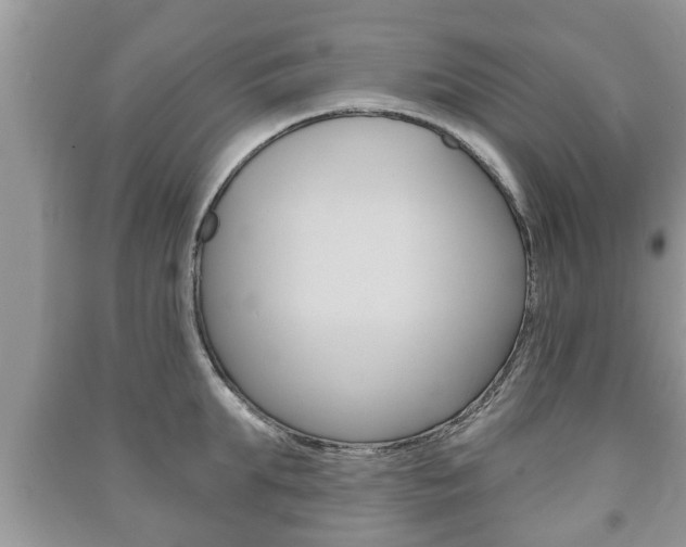 X0000091210903200708091113