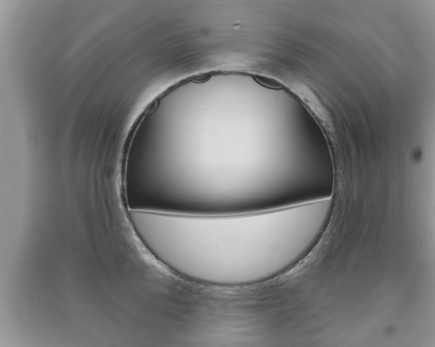 X0000091210904200708091113
