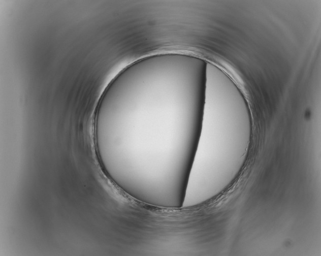 X0000091210907200708091113