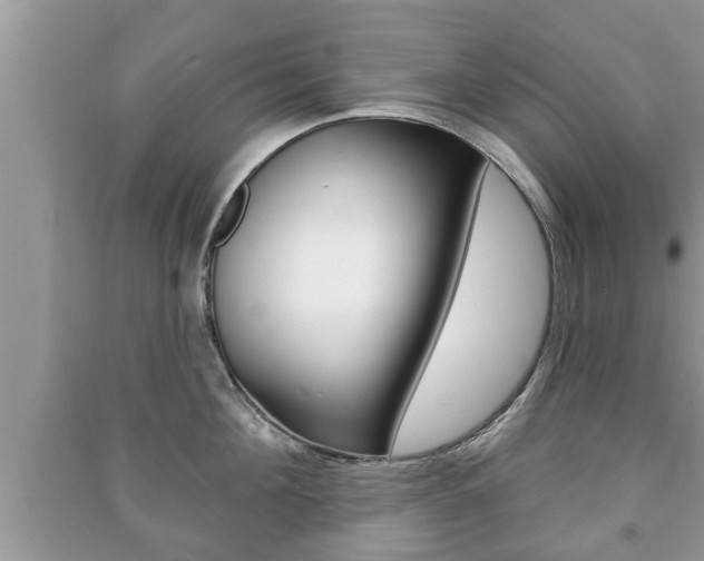X0000091210908200708091113