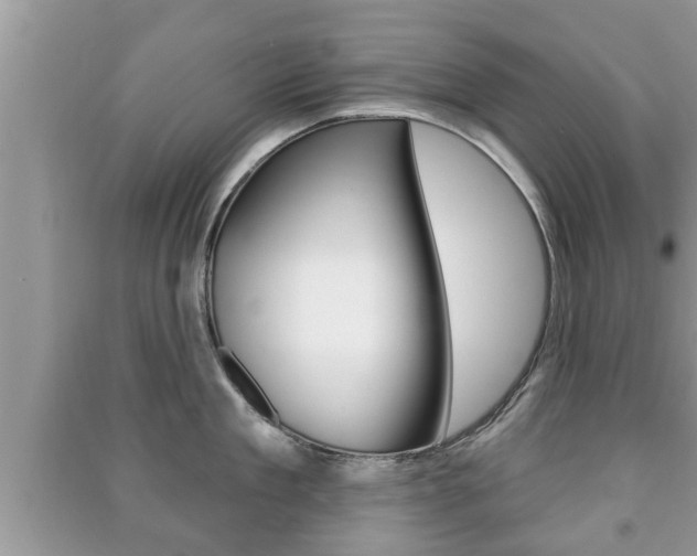 X0000091210909200708091113