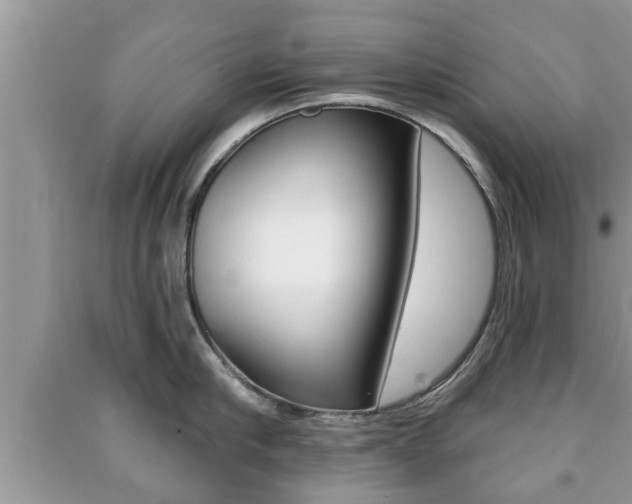 X0000091210910200708091113