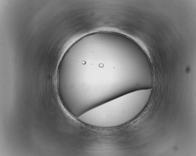 X0000091210911200708091113