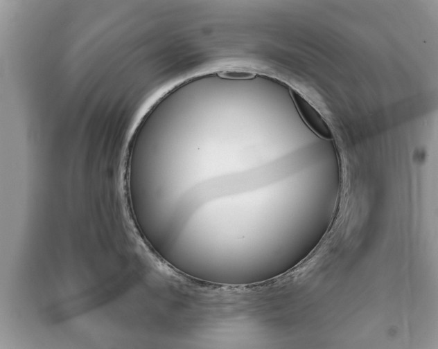 X0000091210912200708091113