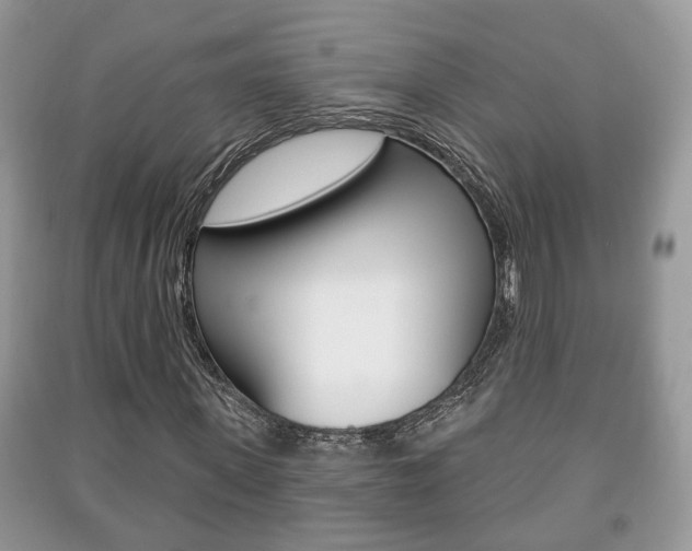 X0000091210915200708091112