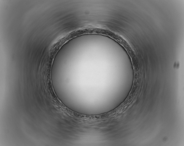 X0000091210919200708091112