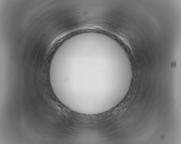 X0000091210920200708091112