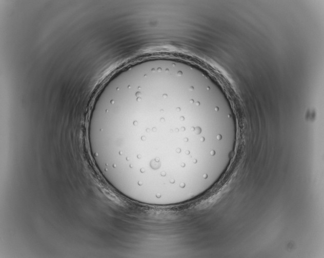 X0000091210921200708091112