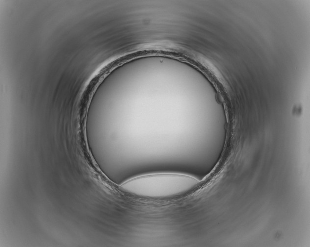 X0000091210923200708091112