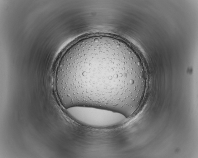 X0000091210925200708091112