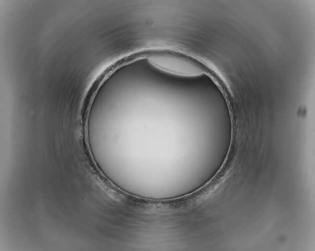 X0000091210927200708091112