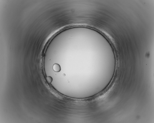 X0000091210933200708091112