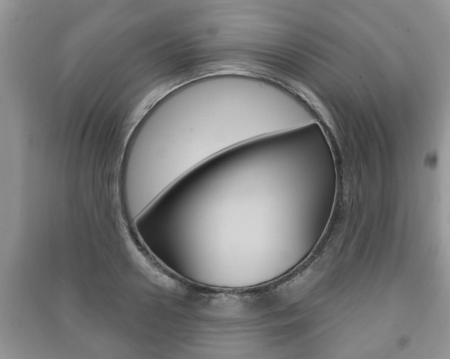 X0000091210938200708091112