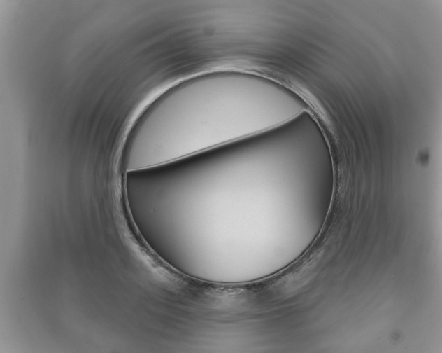 X0000091210939200708091112