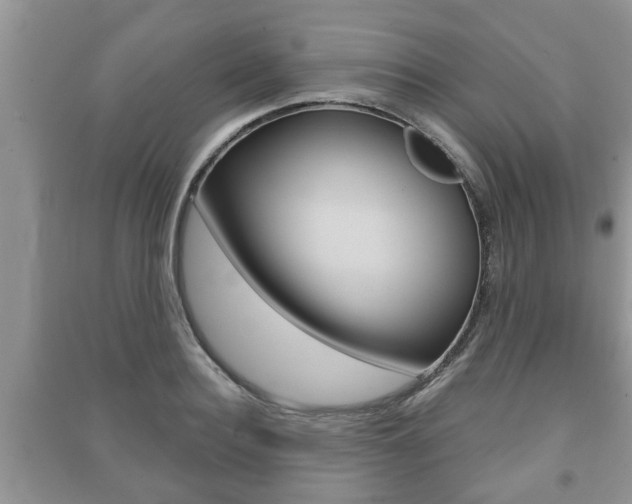 X0000091210940200708091112