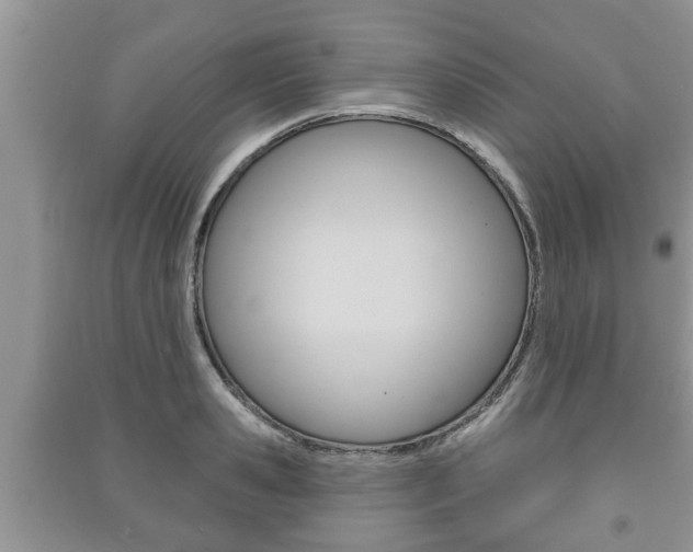 X0000091210941200708091112