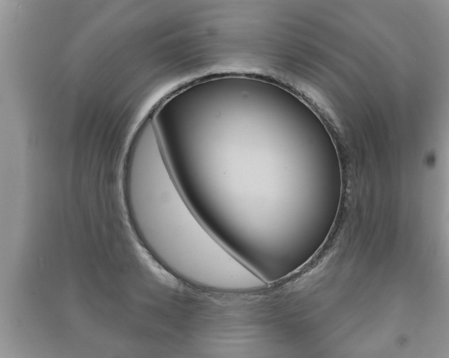 X0000091210942200708091112