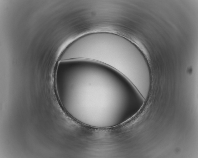 X0000091210944200708091113