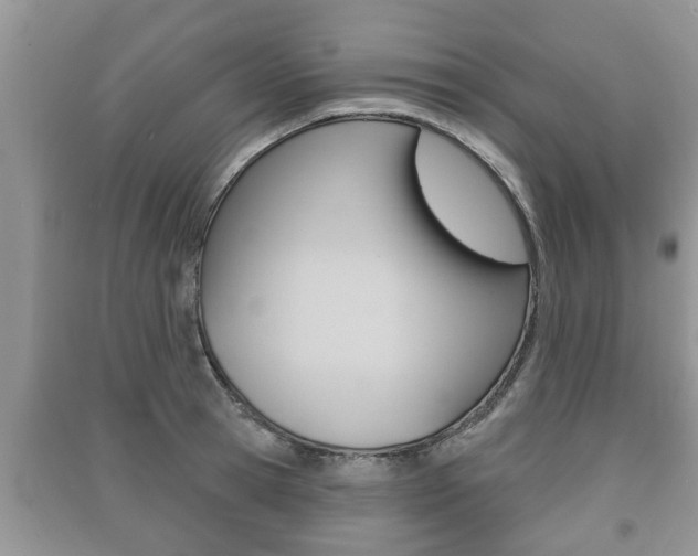 X0000091210945200708091113