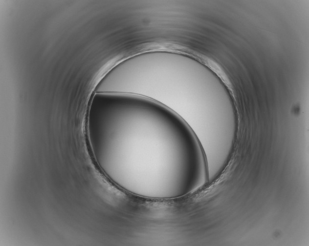 X0000091210946200708091113